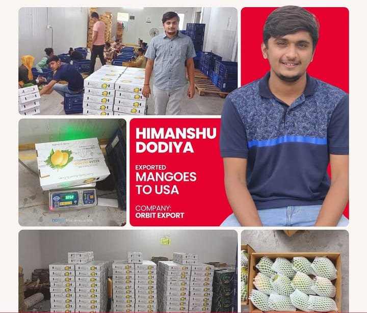 Himanshu Dodiya